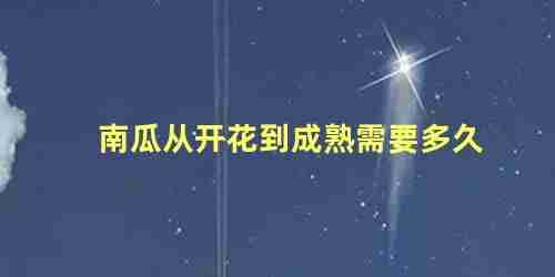 南瓜一般开花到成熟需要多长时间(南瓜从开花结果到成熟需要多少天)